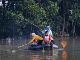 Ini Penampakan Kampung Warna-Warni dan Mangrove Tambak Sarioso di Surabaya