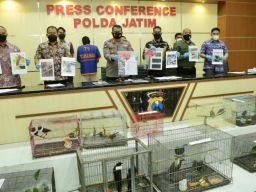 Polisi Bongkar Praktik Jual Beli Satwa Dilindungi dan Amankan 304 Satwa