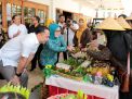 Ayo Datang di Festival Urban Farming Surabaya, Gelar Produk Pertanian hingga Tanaman Hias