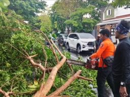 Antisipasi Bencana Hidrometeorologi, BPBD Surabaya Imbau Warga Tak Perlu Khawatir