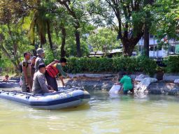 Susur Kalimas, DLH Surabaya Masih Temukan Warga Buang Kotoran Hewan Kurban di Sungai