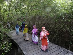 Nikmati Momen Liburan di Mangrove, Penuh Beragam Kegiatan Spesial
