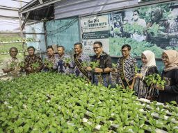 Kelurahan Cantik 2025 Digelar, Surabaya Bidik Juara Nasional