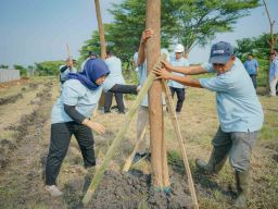 SIER Tambah Ruang Hijau di PIER, Ratusan Trembesi Ditaman untuk Tekan Emisi