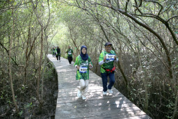 Kebun Raya Mangrove Surabaya Tembus 86 Ribu Pengunjung