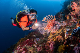 Diving, Disiplin, dan Kerendahan Hati