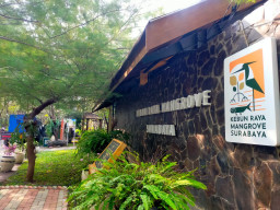 BRIDA Surabaya Ubah Sampah Plastik Mangrove Jadi Bahan Bakar