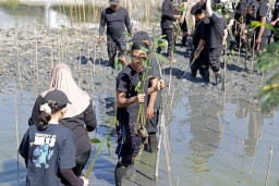 BRIDA Surabaya Targetkan KRM Gunung Anyar Miliki 100 Jenis Mangrove