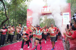2.000 Pelari Ramaikan SIER Mangrove Eco Run 3.0