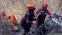 Pemkot Surabaya Kirim Damkar Bantu Padamkan Karhutla di Kawasan Bromo