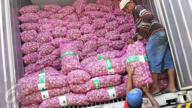 KPPU Nilai Bulog Langgar Aturan Soal Import Bawang Putih