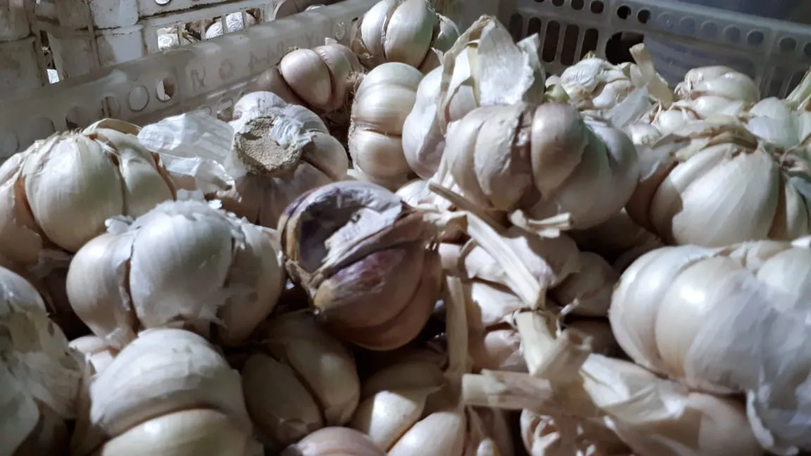 Stabilkan Harga,Jatim Import 15.000 Ton Bawang Putih
