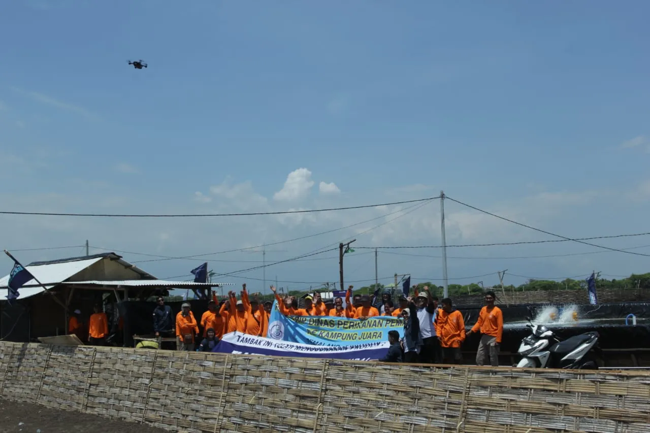 Biar Tidak Gagal Panen, Ini Solusi Petambak Udang Hadapi Cuaca Ekstrem