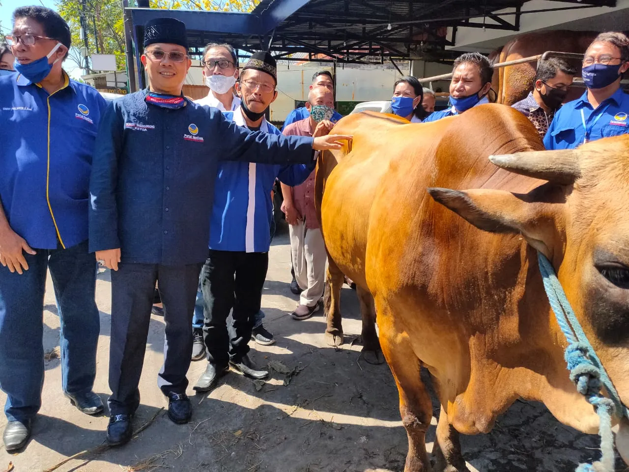 Cegah kluster Penularan COVID-19, NasDem Surabaya: Pembagian Daging Qurban Diserahkan Ketua RW