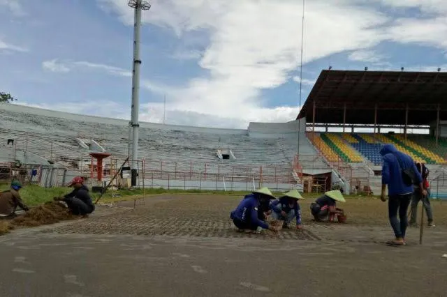 Kebut Tanam Rumput Standar FIFA, Pemkot: September Stadion Tambaksari Bisa Dipakai