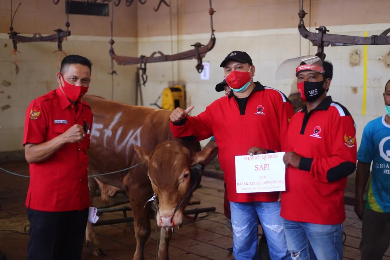 Cegah Kluster Penularan Covid-19,PDIP Surabaya Bagikan Daging Kurban Door to Door