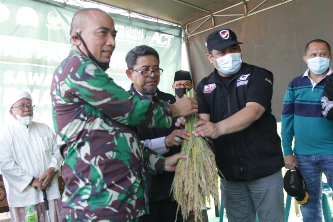 Panen Raya WSP, ACT Janji Beli Gabah Petani Mojokerto Diatas Harga Pasaran.