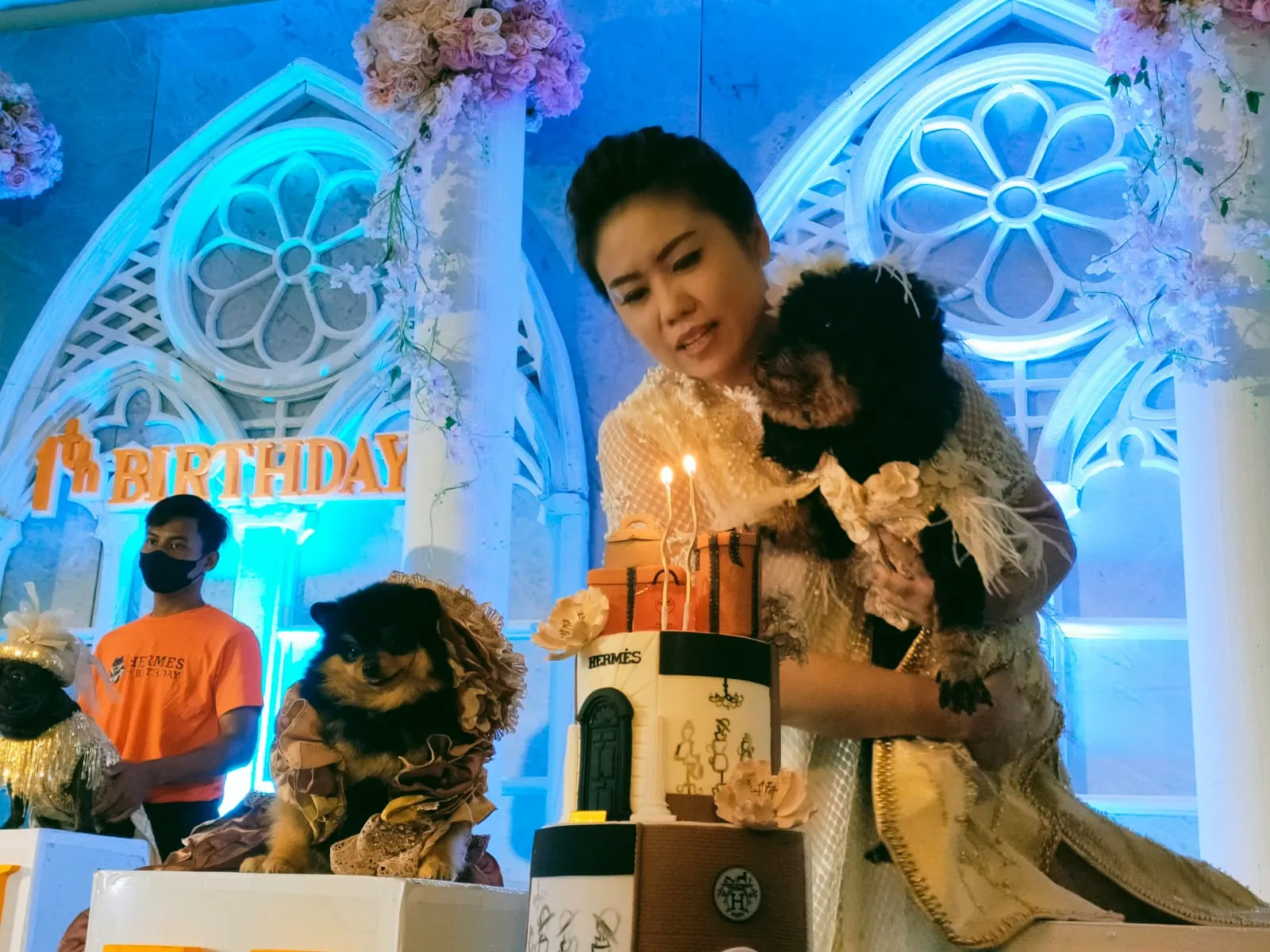 Rayakan Ultah Anjingnya, Wanita Ini Rela Rogoh Kocek Puluhan Juta Rupiah
