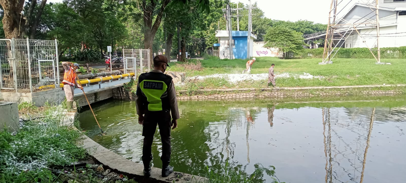 Ikan Mati di Waduk, SIER Gerak Cepat Uji Laboratorium