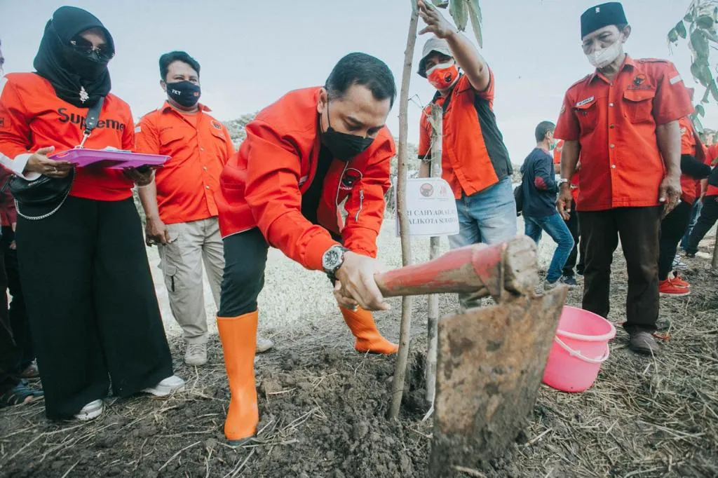 Ultah Megawati, PDIP Surabaya bareng Eri Cahyadi-Armuji Tanam Pohon di Bantaran Sungai