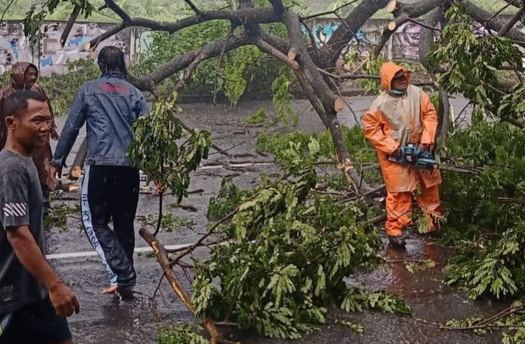 Hujan Deras dan Angin Kencang, Pemkot Surabaya: Ratusan Pohon Tumbang