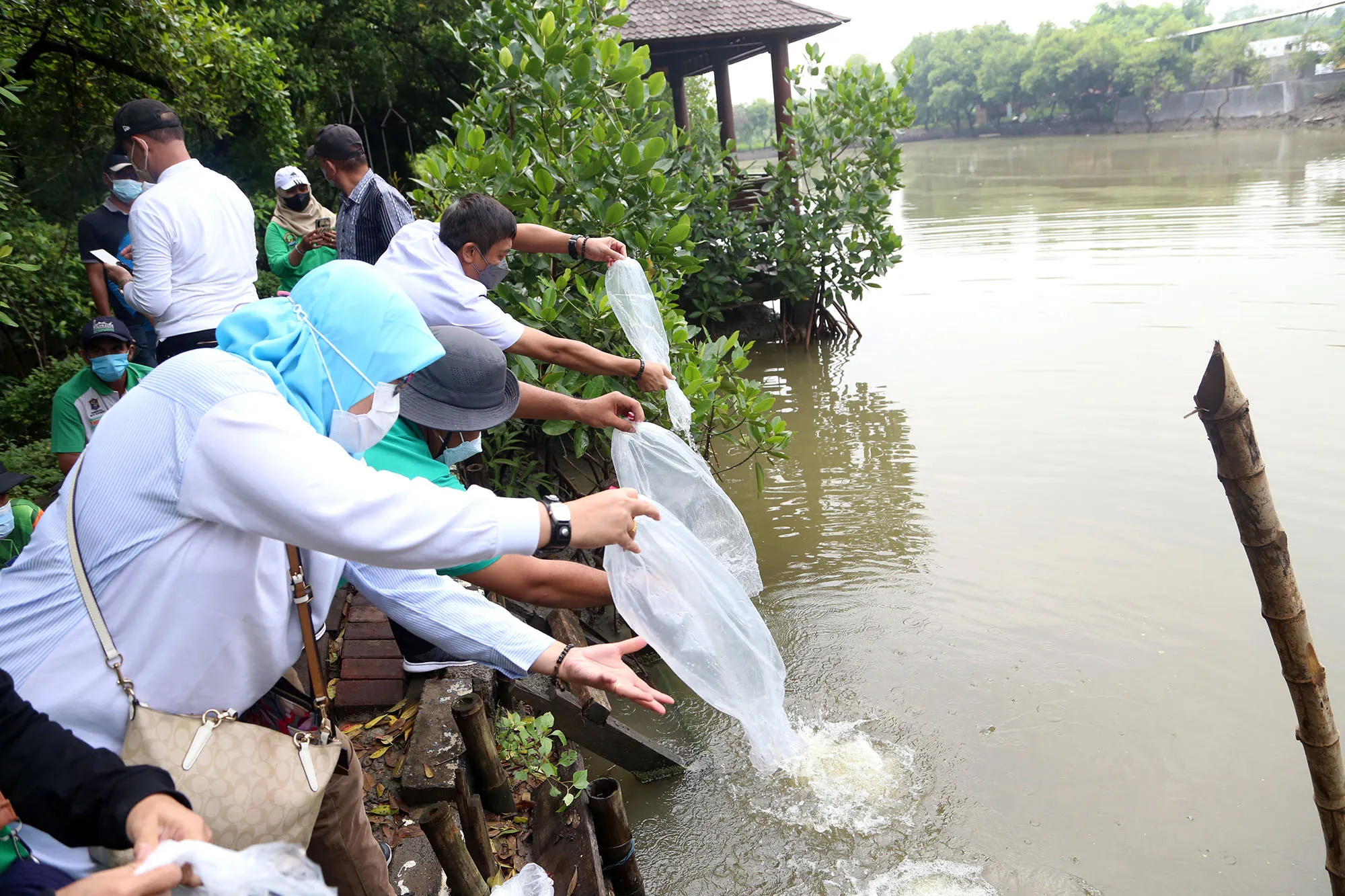 Peringati Hari Air Dunia, Pemkot Surabaya Gelar Tanam 600 Pohon dan Tebar 2.500 Benih Ikan Bandeng
