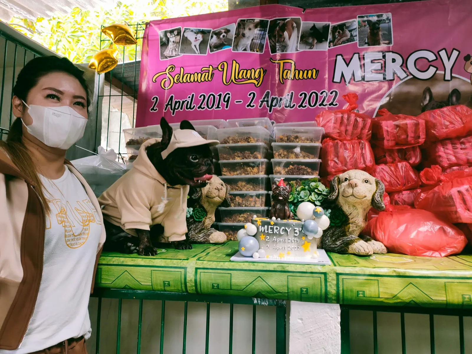 Peduli Anjing Liar, Dog Lover Surabaya Dirikan Panti Asuhan Khusus Anjing