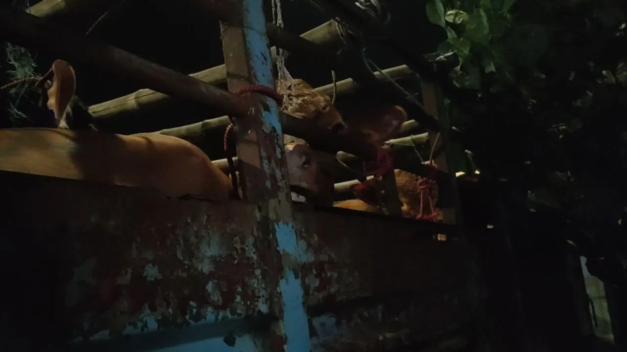 Cegah PMK, Pemkot Lakukan Penyekatan Pengiriman Hewan Qurban Masuk Surabaya