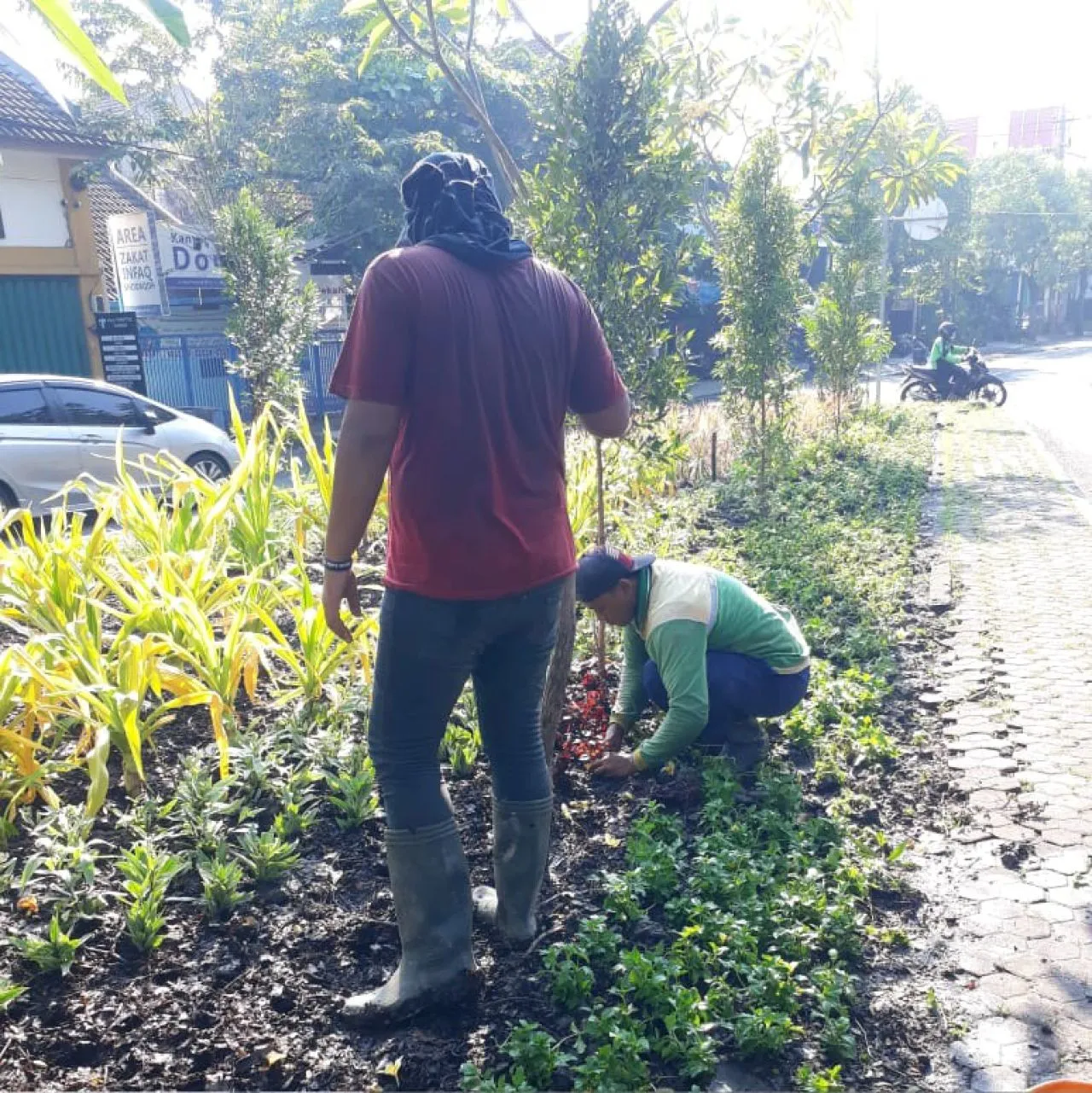 Pemkot Surabaya Tanam 1000 Tanaman Per Hari, Begini Dampaknya