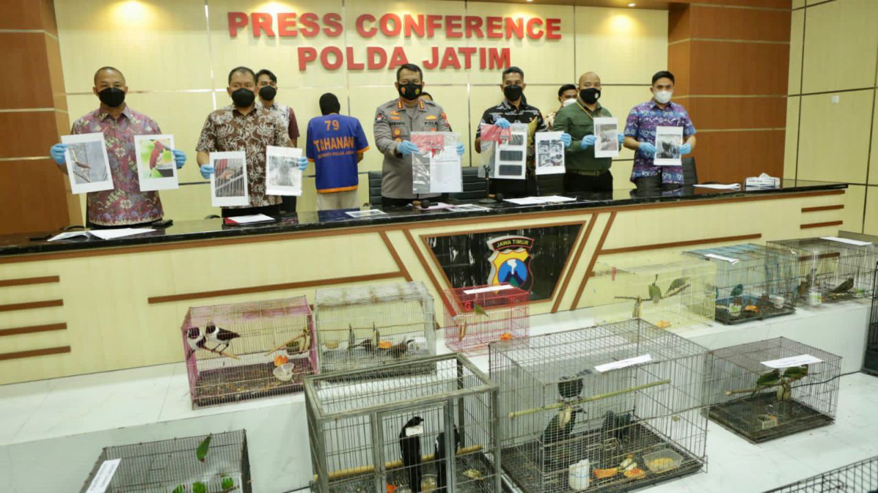 Polisi Bongkar Praktik Jual Beli Satwa Dilindungi dan Amankan 304 Satwa
