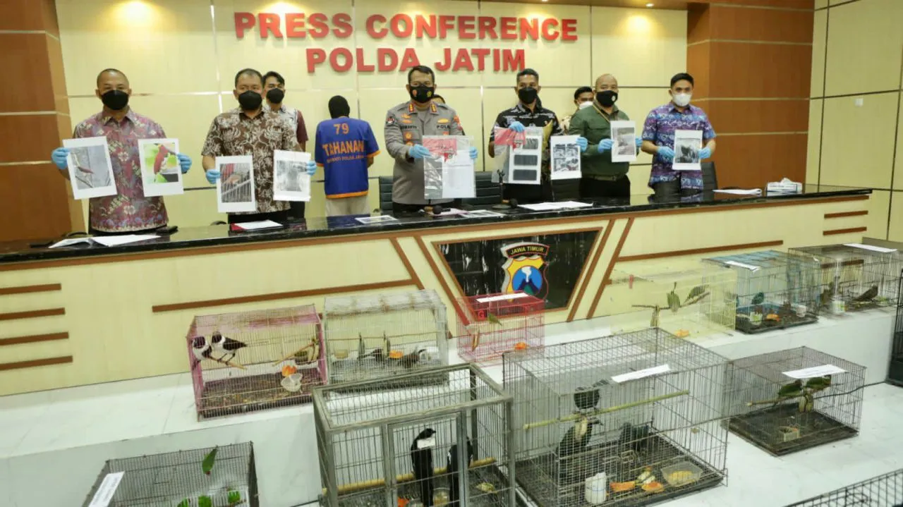 Polisi Bongkar Praktik Jual Beli Satwa Dilindungi dan Amankan 304 Satwa