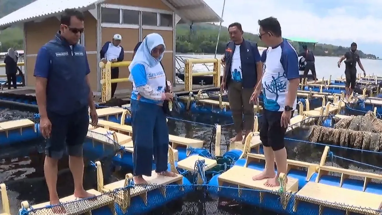 Jaga Kelestarian Laut, IKA Unair Lakukan Gerakan Adopsi Ribuan Terumbu Karang