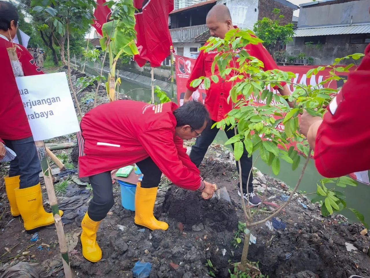 Gerakan Penghijauan PDIP Surabaya, Adi Sutarwijono: Tanam Pohon, Merawat Kehidupan