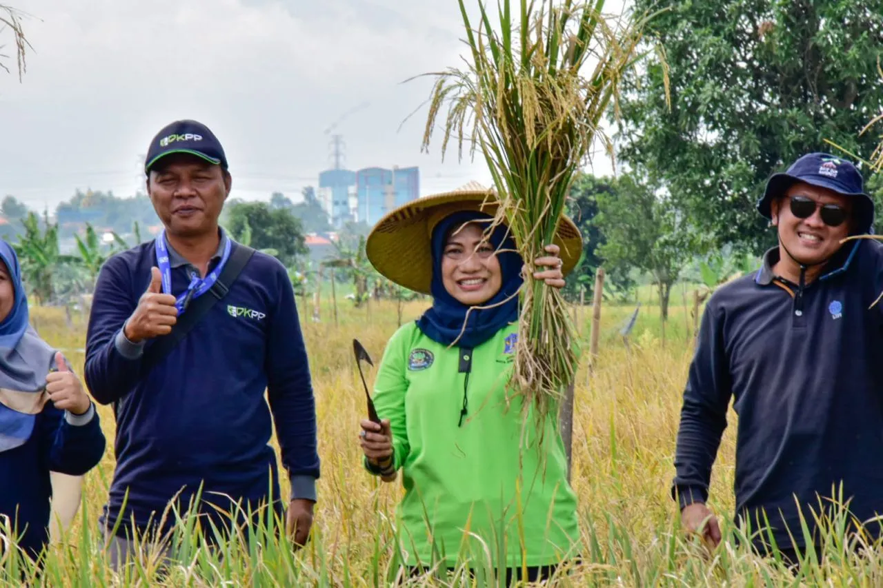 Petani Surabaya Panen 22,4 Ton Padi di Lahan Milik Pemkot