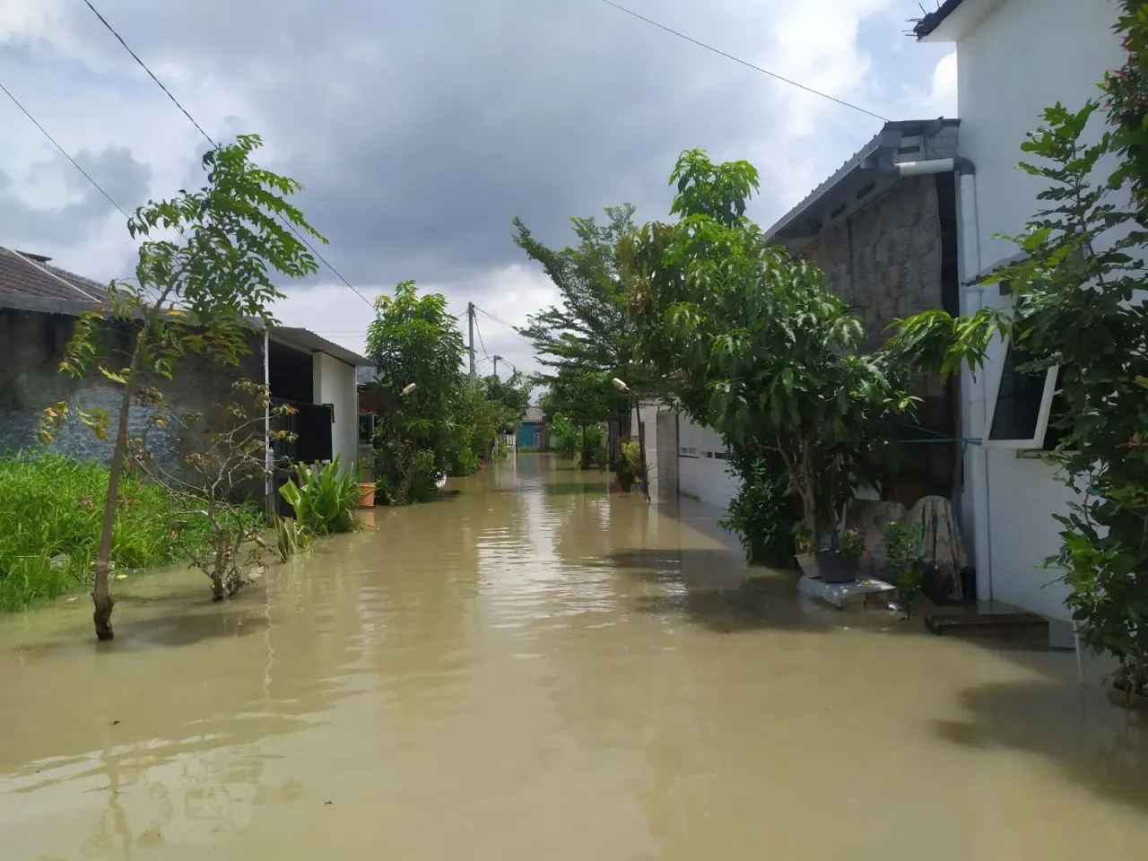 Hujan Intensitas Tinggi Akibatkan Banjir Sejumlah Desa di Gresik
