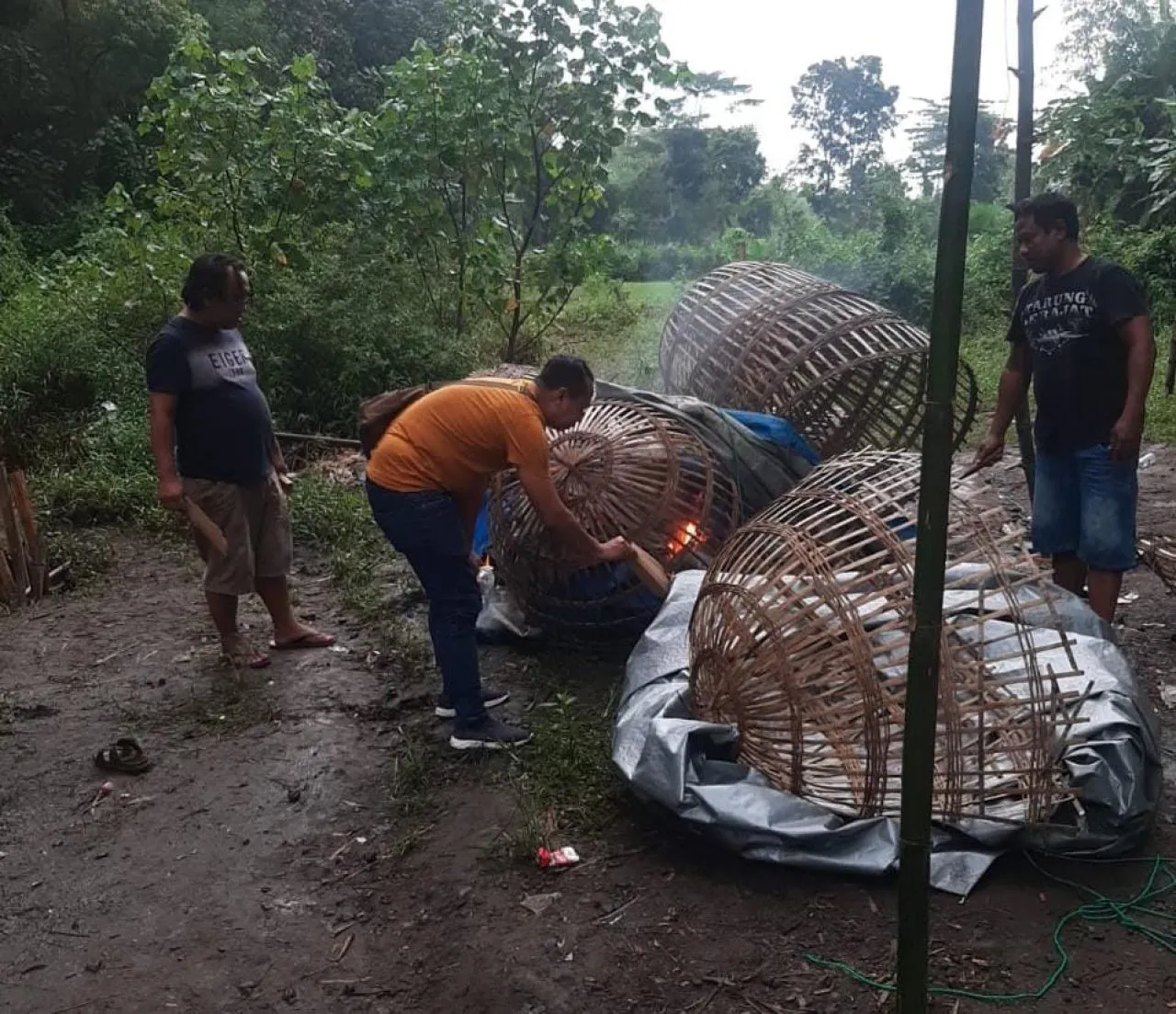 Penjudi Kocar - kacir, Polisi Gerebek Arena Sabung Ayam di Jombang