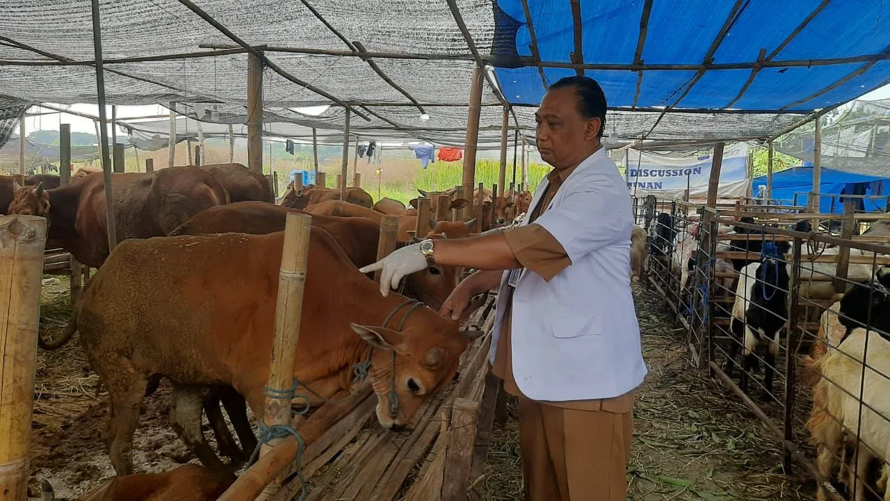 Pembeli Bisa Cek Lewat Ear Tag Barcode untuk Lihat Status Kesehatan Hewan Kurban