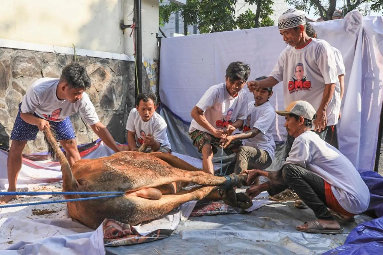 Orang Muda Ganjar Jatim Adakan Penyembelihan Hewan Kurban di Surabaya
