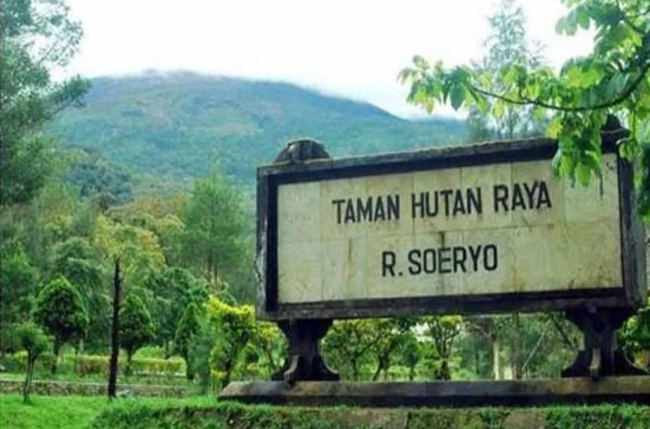 Kebakaran Tahura Raden Soerjo Mojokerto Bukan Alami, Ini Penyebabnya
