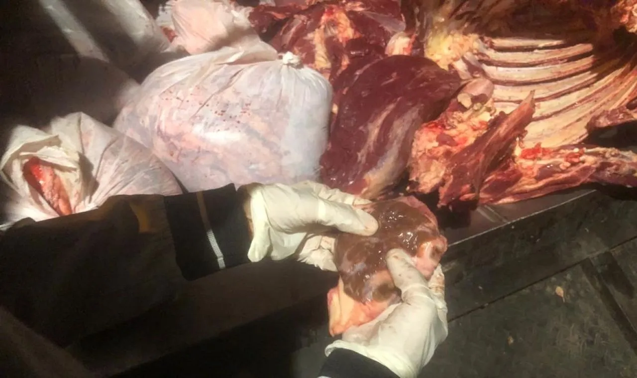 Pemkot Surabaya Temukan Pengiriman Daging Tanpa Surat Resmi