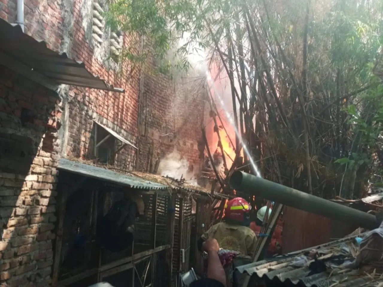Waspada Kebakaran! Warga Surabaya Diimbau Jangan Bakar Lahan Terbuka Sembarangan
