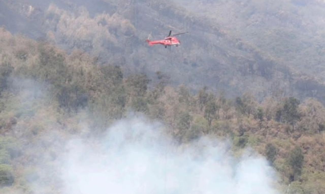 Masuk Hari Ke 6, Total 2 Hektar Lahan Kawasan Gunung Lawu yang Terbakar
