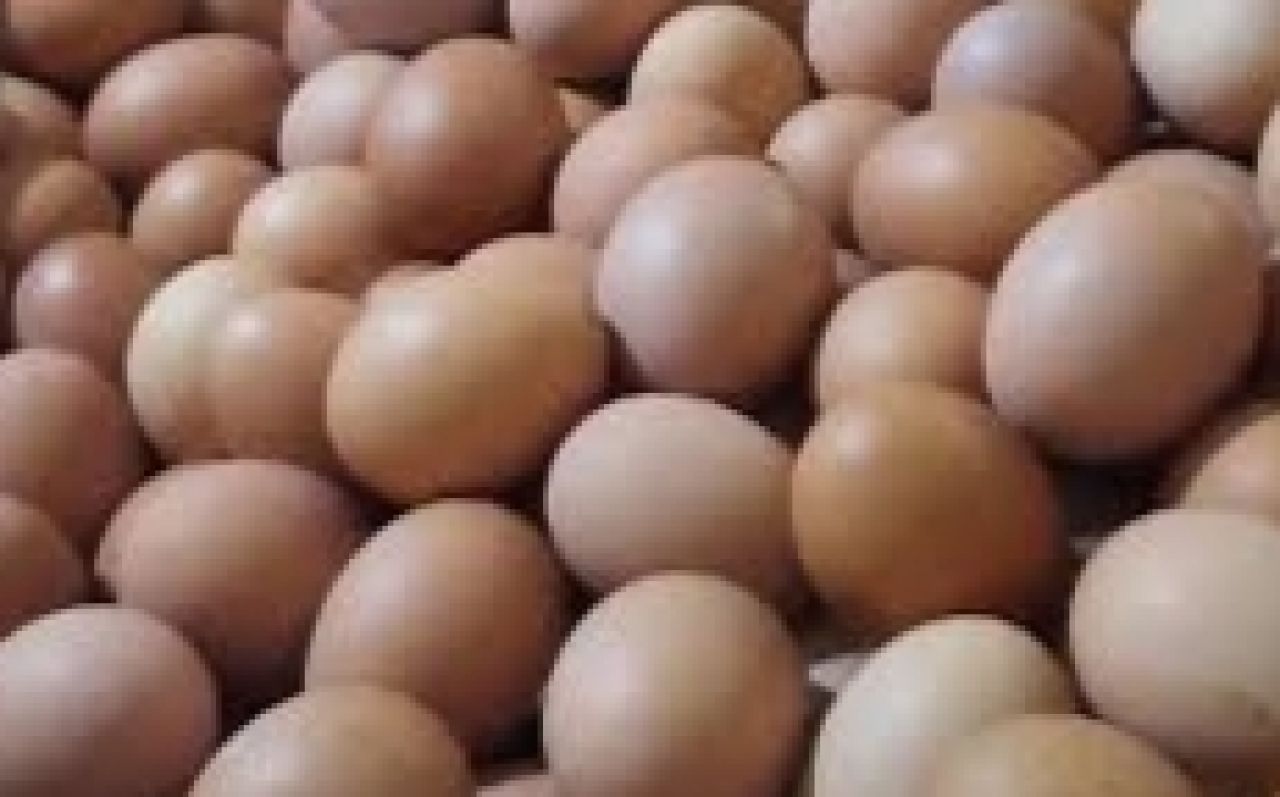 Pasca Pemilu 2024, Harga Telur Ayam Ras Tembus Rp.30 Ribu Per Kg
