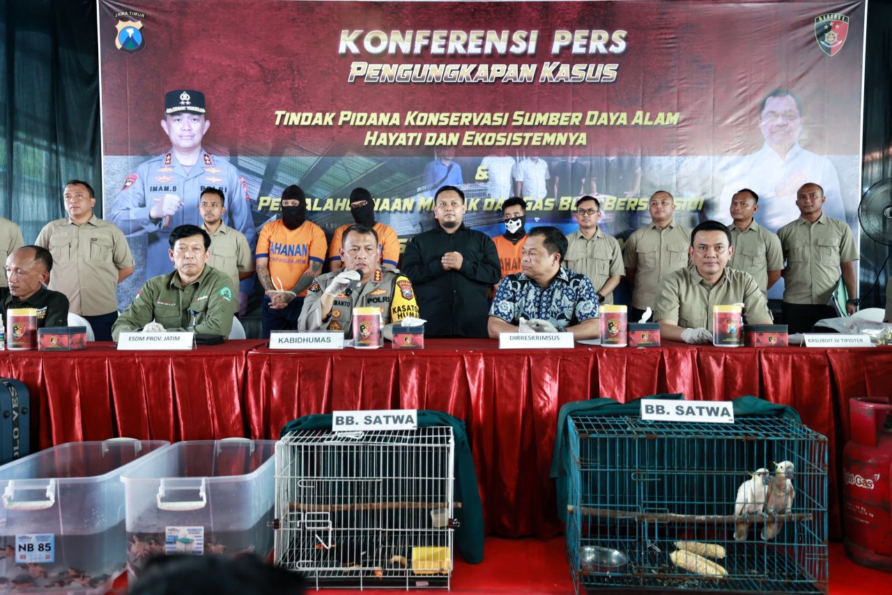 Polisi Tangkap Pelaku Perdagangan Satwa Dilindungi di Surabaya