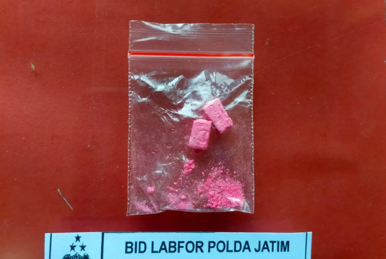 Polisi Tangkap Satu Oknum PNS Terlibat Pesta Pil Ekstasi