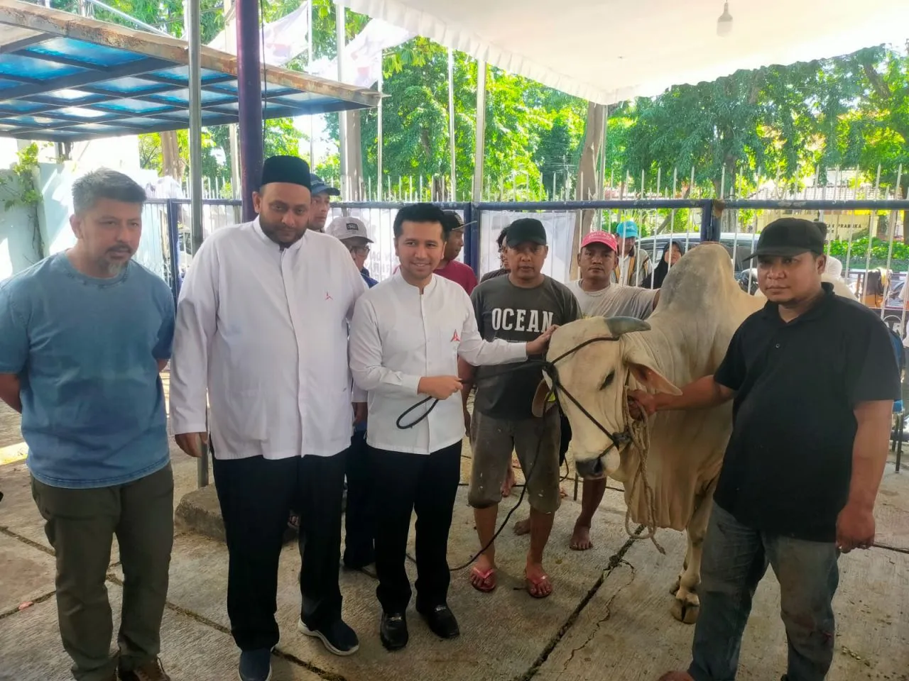 Idul Adha 2024, Partai Demokrat Jatim Potong Puluhan Ekor Hewan Kurban
