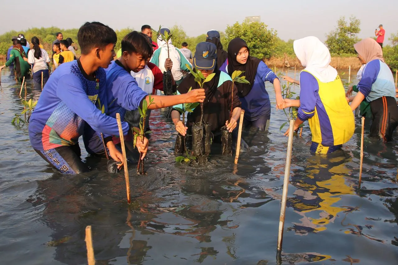 Penanaman 3000 Bibit Mangrove Tandai Peringatan HUT ke-1 KRM Surabaya