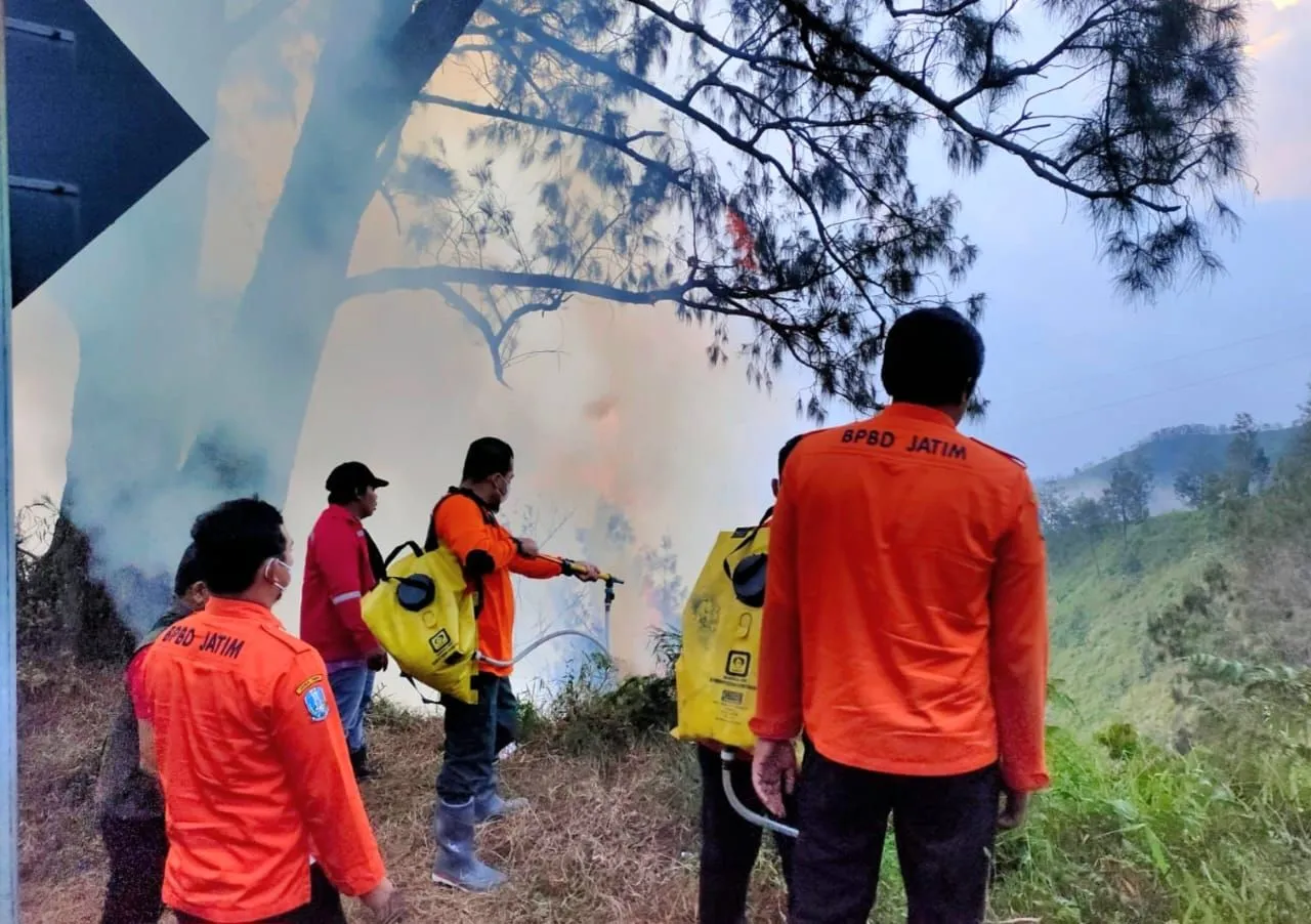 BPBD Jatim Gerak Cepat Padamkan Kebakaran Hutan di Penanjakan Gunung Bromo