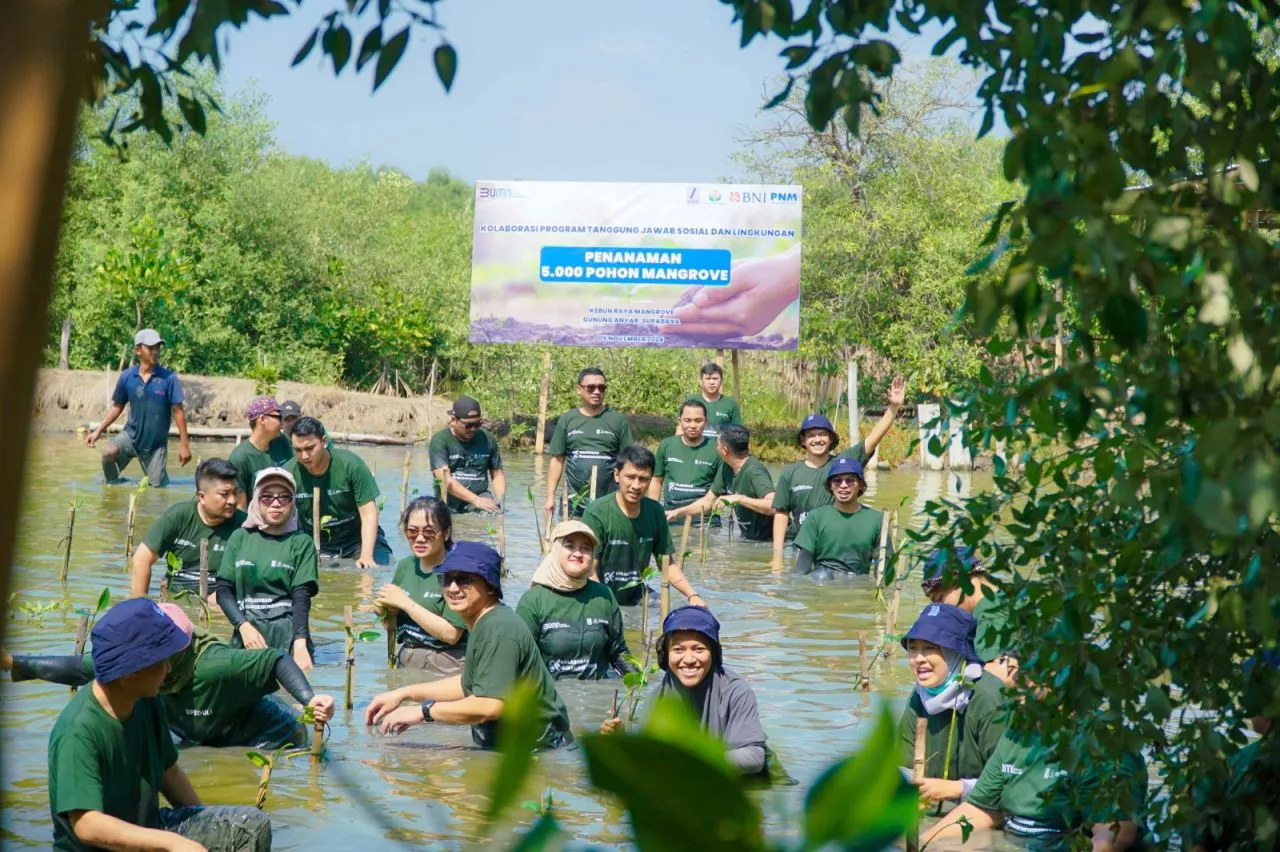 SIER Tanam 5.000 Bibit Mangrove di KRM Surabaya