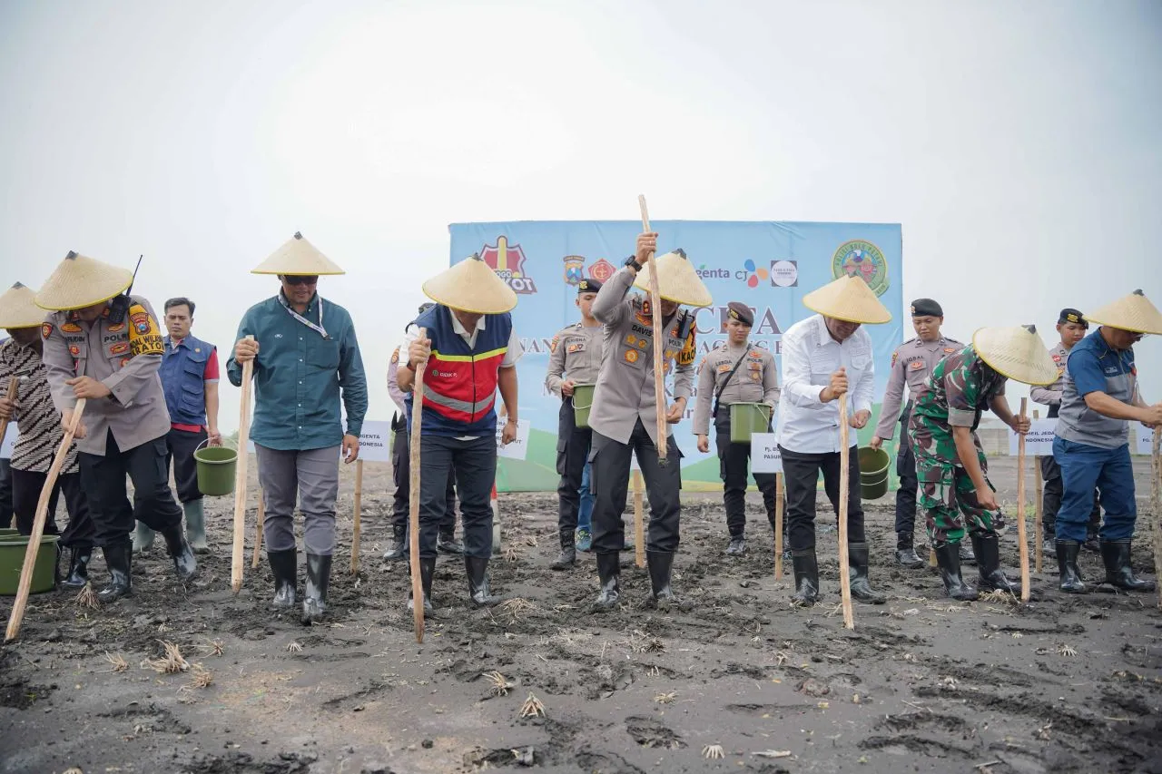 SIER Siapkan Lahan untuk Ketahanan Pangan 